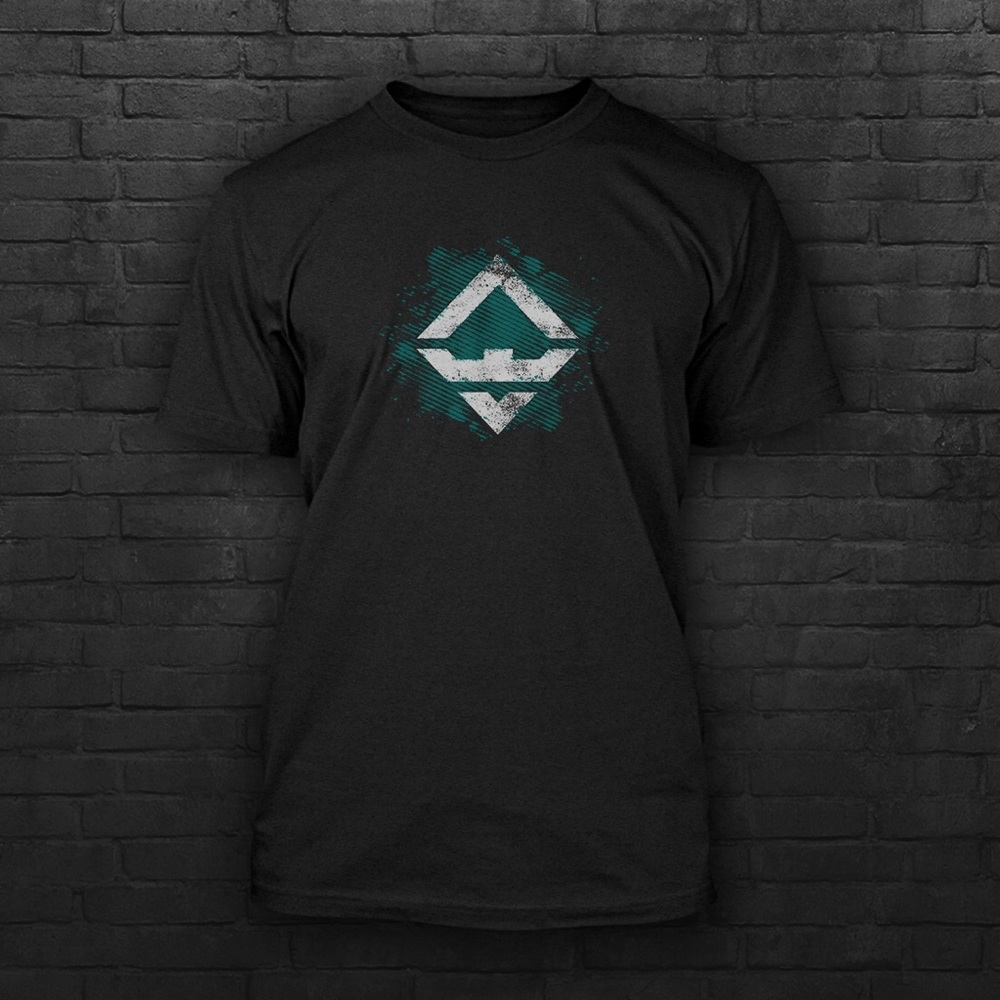 New! CrossFit BoxKing T shirt with logo design